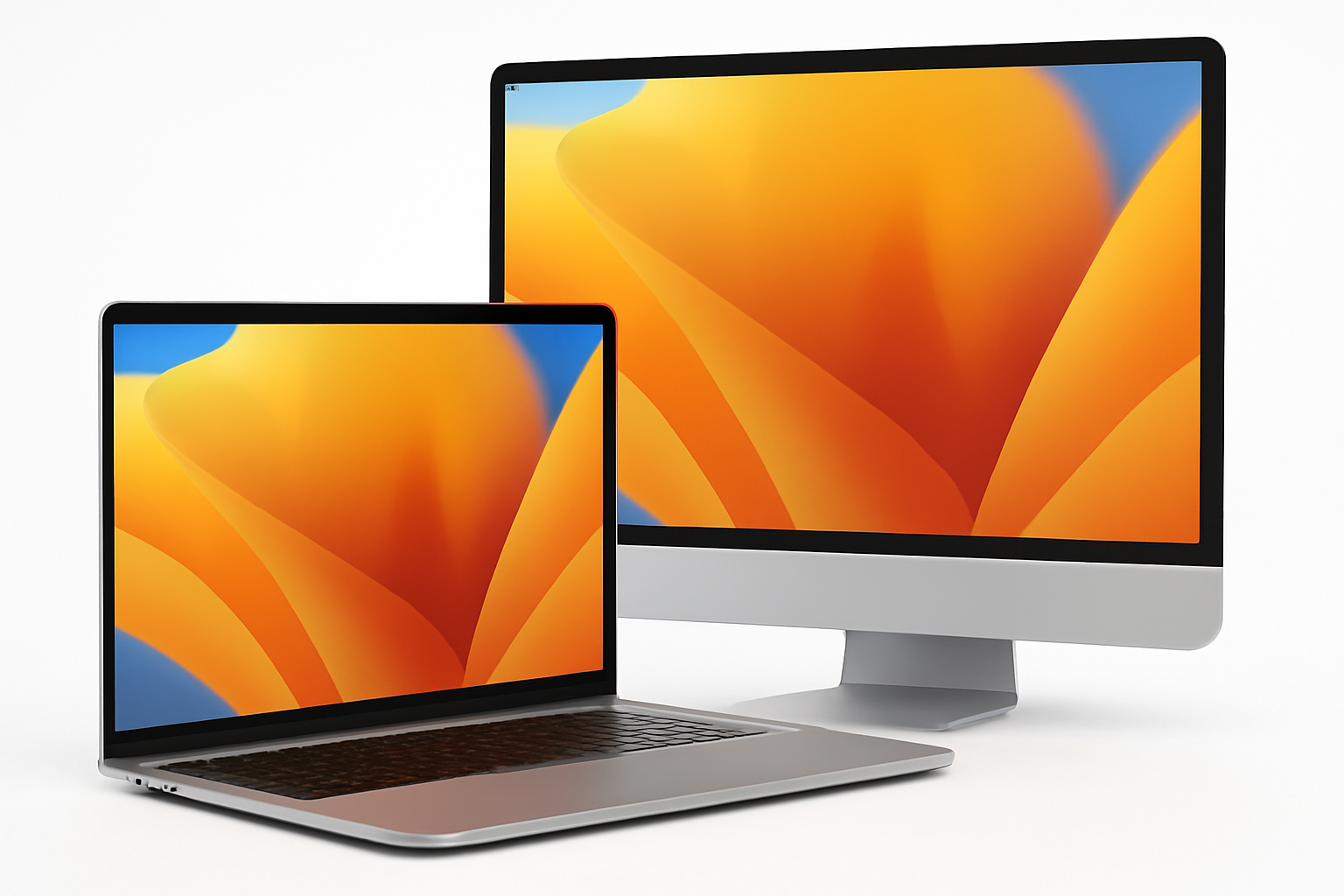 Laptop & Computer
